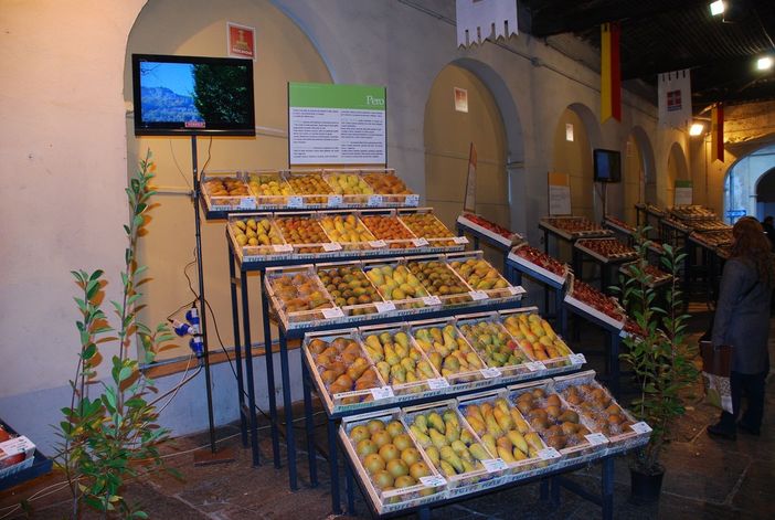 La strada delle mele pinerolese in un video