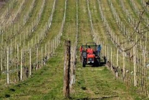 Siccità, Carenini (Cia Piemonte): "Occorre un supplemento di gasolio agricolo agevolato per consentire l'irrigazione dei campi" Siccità, Carenini (Cia Piemonte): "Occorre un supplemento di gasolio agricolo agevolato per consentire l'irrigazione dei campi"