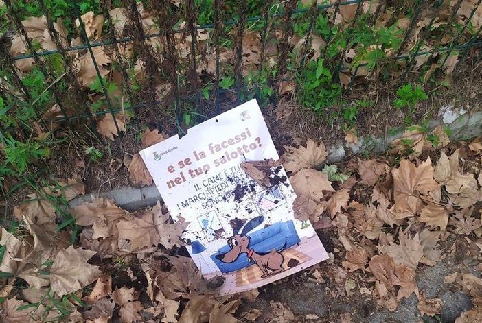 cartelli strappati nichelino