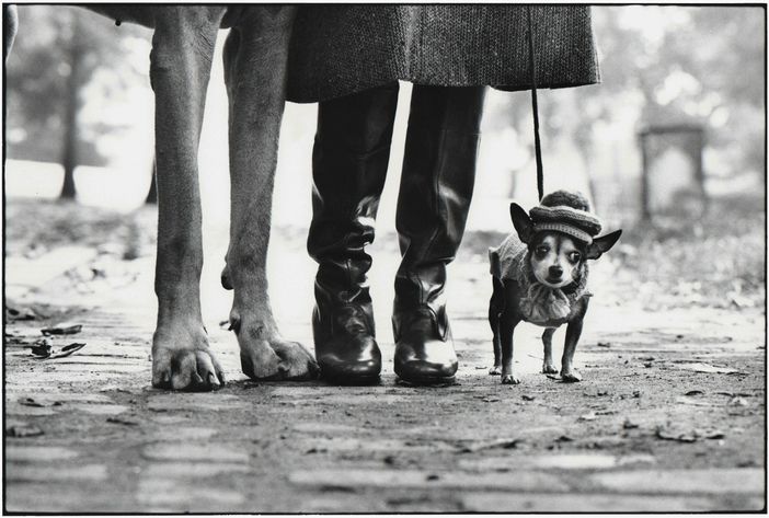 [Photo credits: ELLIOTT ERWITT - New York City, 1974]