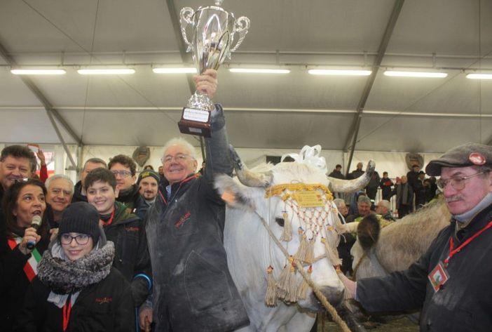 La Banca Alpi Marittime a sostegno della “Fiera del Bue grasso” di Carrù La Banca Alpi Marittime a sostegno della “Fiera del Bue grasso” di Carrù
