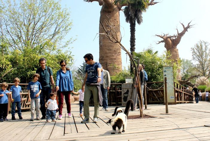 Sabato 23 e 24 giugno bambini gratis al bioparco ZOOM