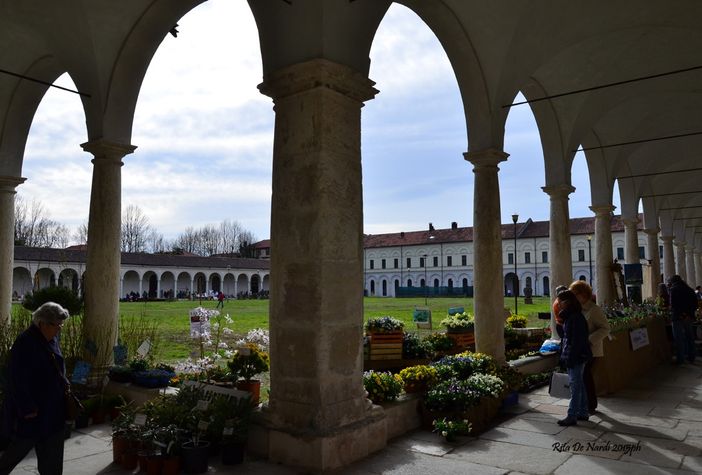 Alla Certosa Reale di Collegno, Follia in Fiore apre la primavera 2025 Alla Certosa Reale di Collegno, Follia in Fiore apre la primavera 2025