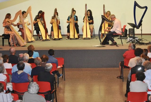 A Grugliasco in arrivo Orchestrarpa, il progetto itinerante ideato da Katia Zunino