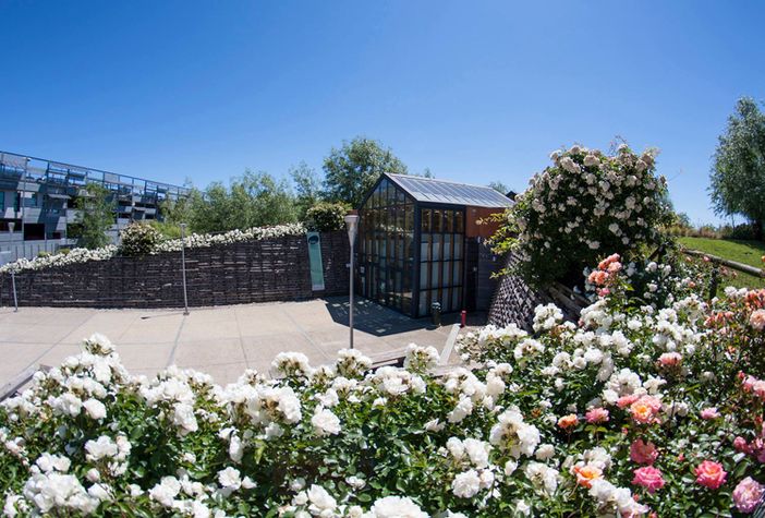 Il Parco Arte Vivente promuove la ricerca digitale: "Interroghiamo l'ambiente dopo la pandemia" Il Parco Arte Vivente promuove la ricerca digitale: "Interroghiamo l'ambiente dopo la pandemia"