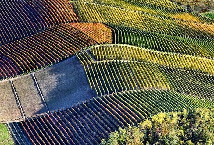 Con Arpa alla riscoperta dei Paesaggi rurali piemontesi Con Arpa alla riscoperta dei Paesaggi rurali piemontesi