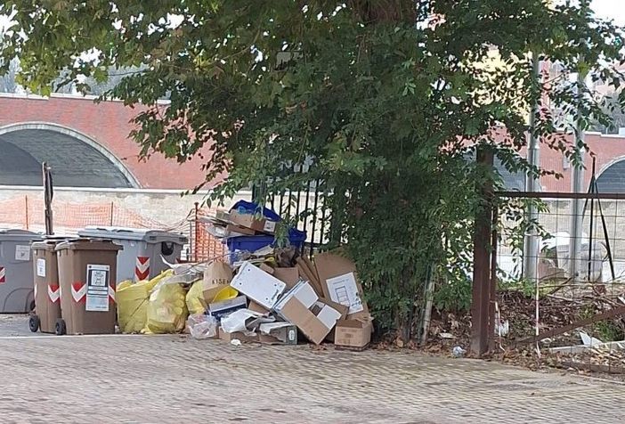 Moncalieri fa ancora i conti con i 'furbetti dei rifiuti': maxi discarica in Lungo Po Abellonio Moncalieri fa ancora i conti con i 'furbetti dei rifiuti': maxi discarica in Lungo Po Abellonio