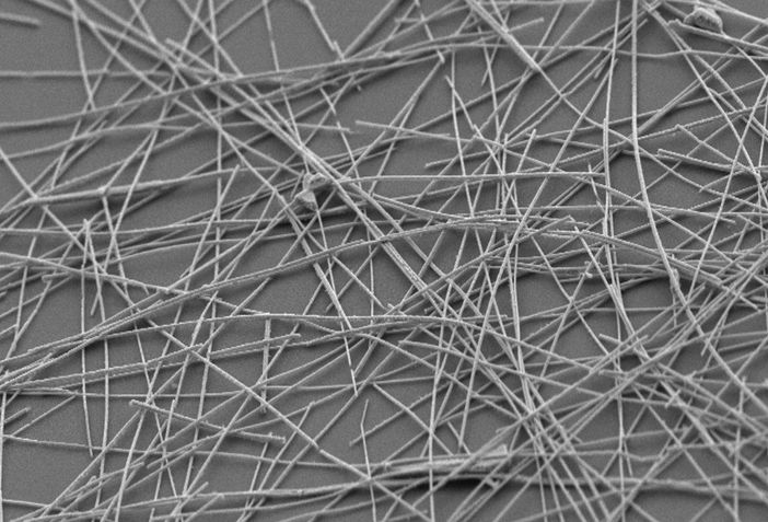 nanoarchitetture neurali nanoarchitetture neurali