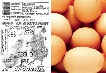 Uova ritirate dal mercato per rischio salmonella: il lotto, dove sono vendute