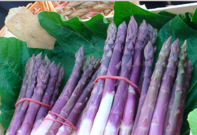 Serata speciale con l'asparago violetto di Albenga all'Osteria del Tempo Stretto! Serata speciale con l'asparago violetto di Albenga all'Osteria del Tempo Stretto!