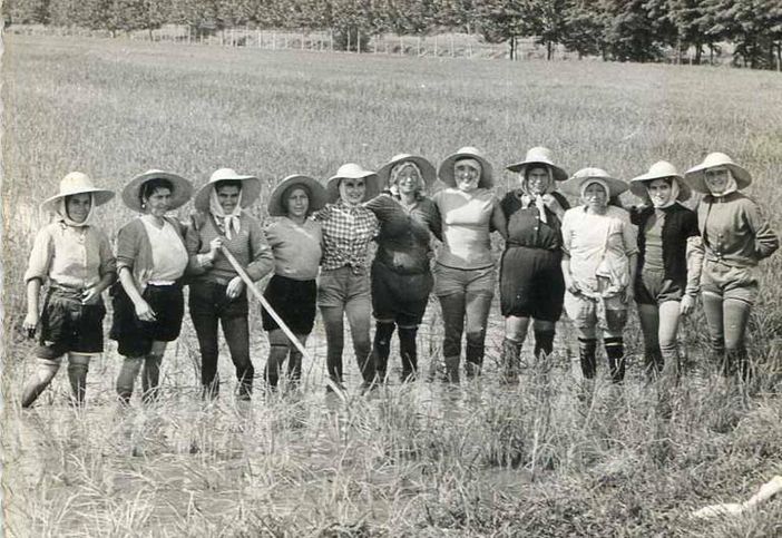 Mondine: donne, risaie e rivoluzioni sociali tra Piemonte e Lombardia Mondine: donne, risaie e rivoluzioni sociali tra Piemonte e Lombardia