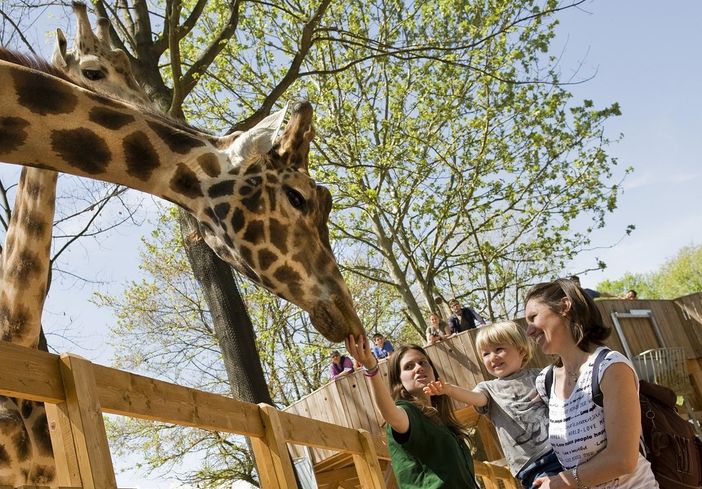Vacanze di Pasqua 2018 al bioparco ZOOM Torino