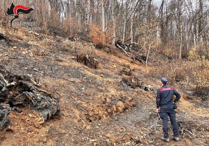 Incendio boschivo a Coassolo Torinese: individuato il presunto responsabile
