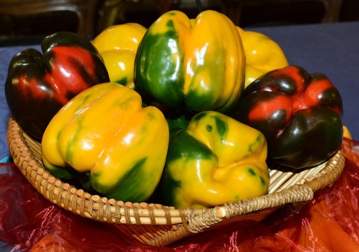 Carmagnola, al via la 70° "Fiera Nazionale del Peperone": alle 21.30 sul palco Brachetti