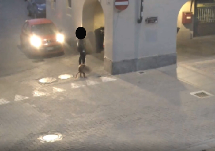 Vigone abbandono di deiezioni canine Vigone abbandono di deiezioni canine