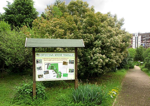 Immagine di repertorio Immagine di repertorio