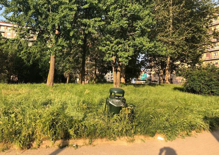 &quot;Gli Stivali del Gatto&quot; torna nei giardini della Circoscrizione 5