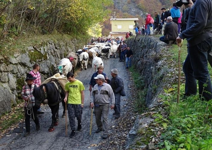 Domenica 8 ottobre la terza edizione della “Dèsarpà” a Usseglio