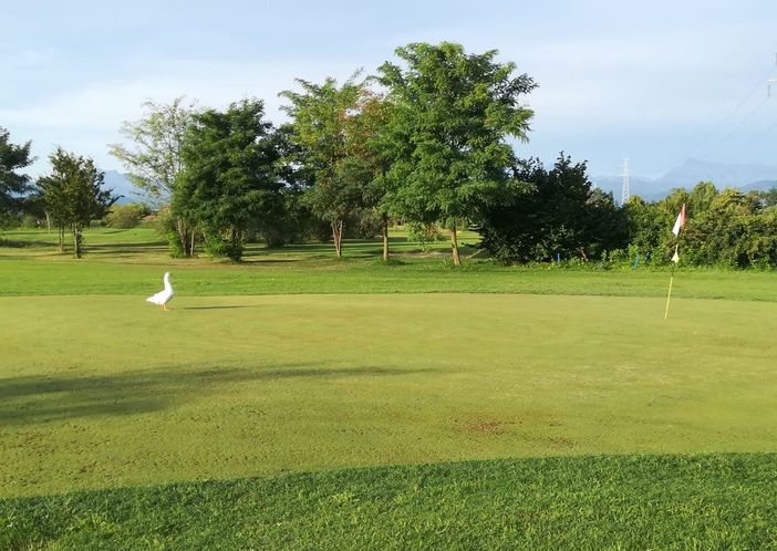 Golf: Open Italia dei Sapori a Cuneo Golf: Open Italia dei Sapori a Cuneo