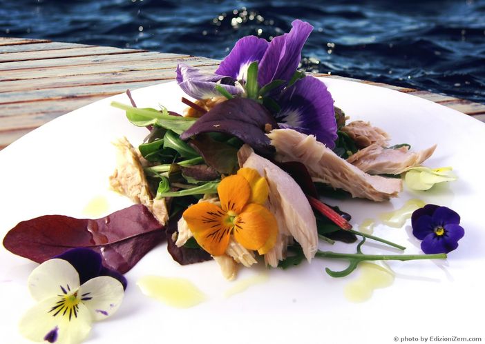 Sanremo: agricoltori e chef a scuola per studiare i fiori eduli Sanremo: agricoltori e chef a scuola per studiare i fiori eduli