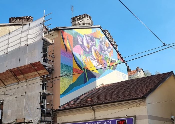 “Geometrie Floreali” a Borgo Campidoglio: la nuova opera del Museo di Arte Urbana di Torino