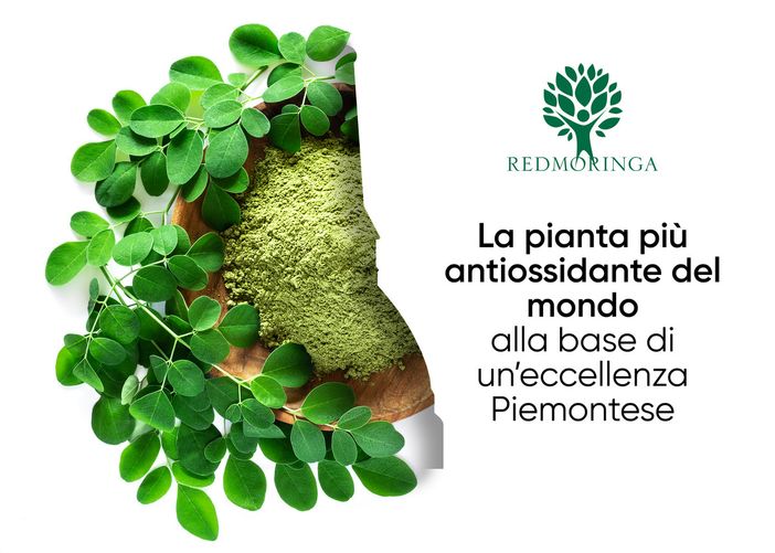 L'azienda torinese che riporta la Moringa al suo antico splendore