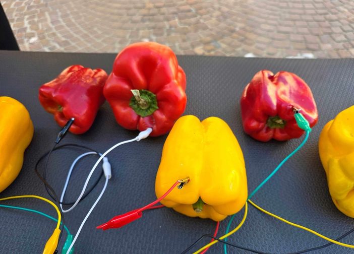 Il suono del peperone: un'installazione unica alla 76esima edizione della Fiera Nazionale del Peperone di Carmagnola Il suono del peperone: un'installazione unica alla 76esima edizione della Fiera Nazionale del Peperone di Carmagnola