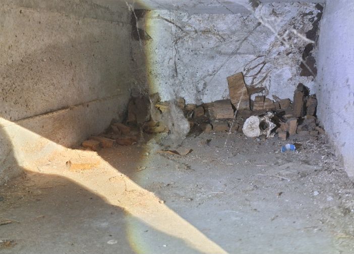 Orrore al cimitero Monumentale: "Ossa in vista e loculi scoperti" Orrore al cimitero Monumentale: "Ossa in vista e loculi scoperti"