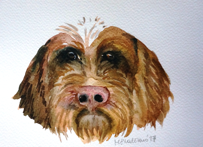 "Manco li cani" "Manco li cani"