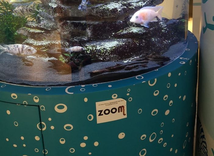 Ugi e Fondazione Zoom insieme per i bambini del Regina Margherita: lanciato il concorso fotografico “FotografiAMO”