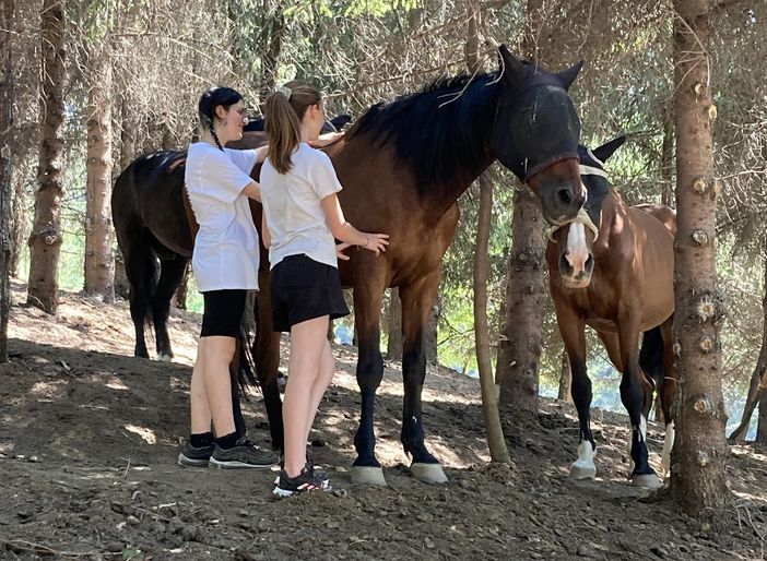 Il Borgo Rubens di corso Casale riparte: sabato 28 Open Day