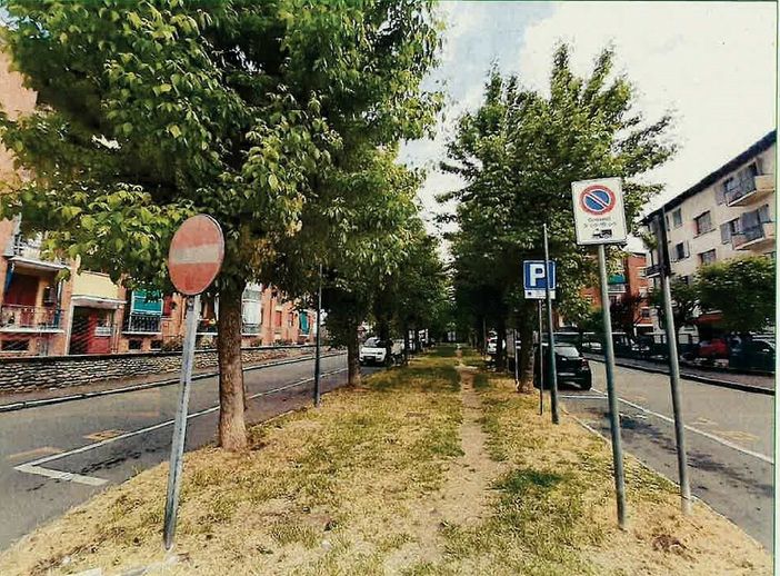 A Chieri al via la riqualificazione di viale Giovanni XXIIII