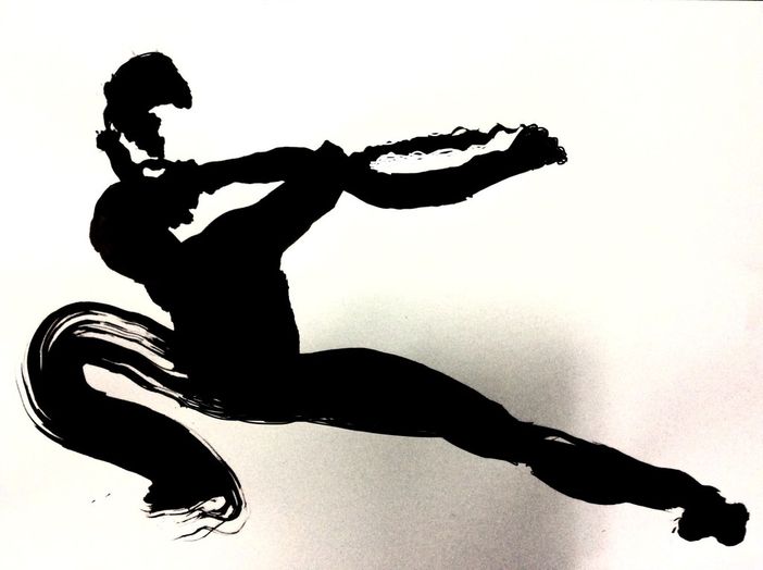 Al Mao una domenica tra Ninja e Samurai Al Mao una domenica tra Ninja e Samurai