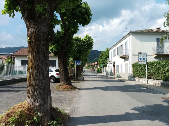 I tigli di via Gianavello a Luserna San Giovanni