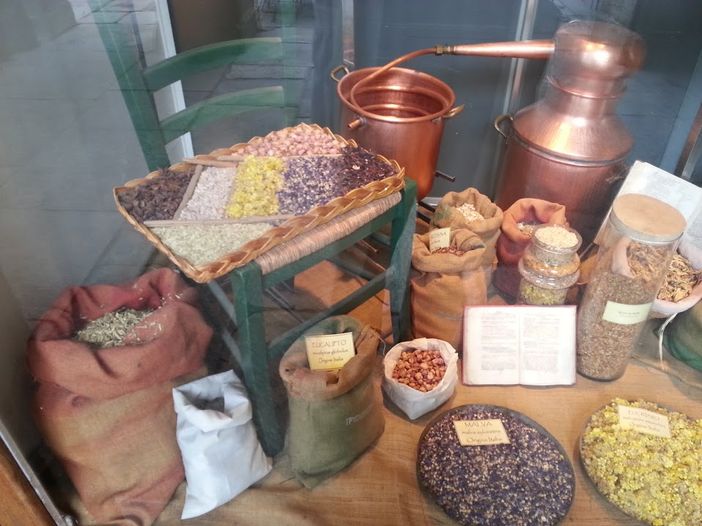 Dal 1896 in Piazza delle erbe a Torino, salute e natura