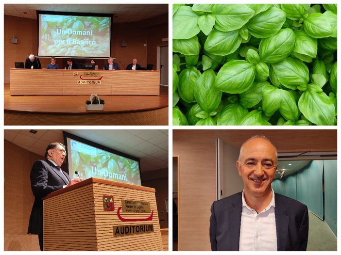 'Un domani per il basilico': "Non è solo pesto, ma anche una miniera di prodotti cosmetici e di difesa delle piante" (Foto e Video)