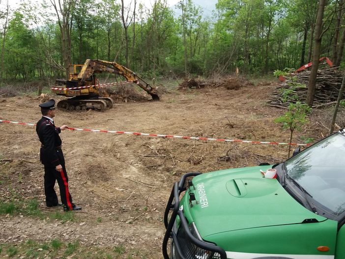 Sequestrato a Val della Torre un bosco di latifoglie da 2400 metri quadrati Sequestrato a Val della Torre un bosco di latifoglie da 2400 metri quadrati