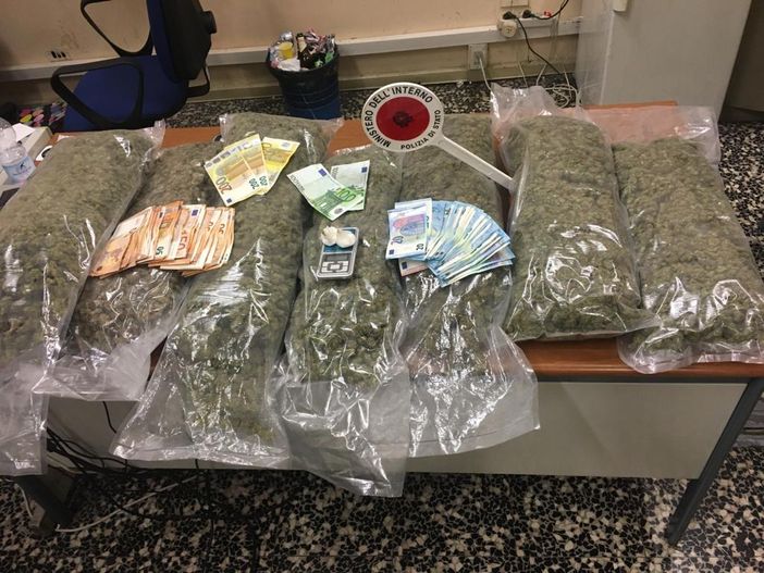 Deposito di marijuana all'interno di un box: arrestato un 28enne