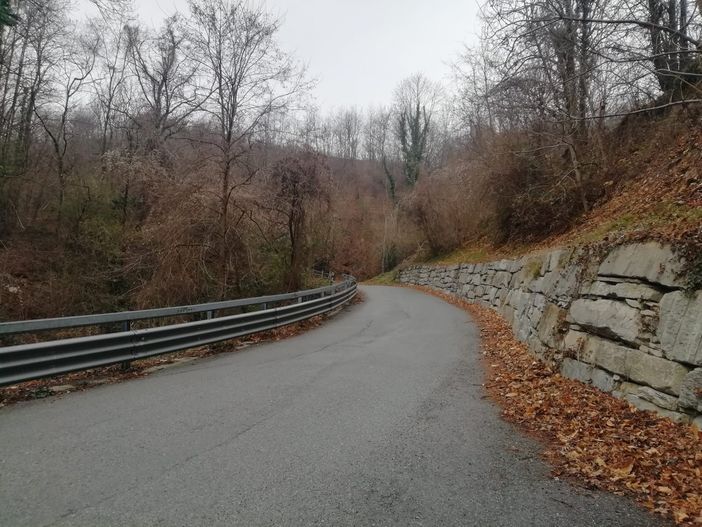 Strada Santa Caterina a Bricherasio Strada Santa Caterina a Bricherasio