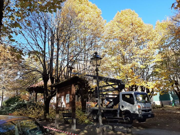 La potatura di stamattina La potatura di stamattina