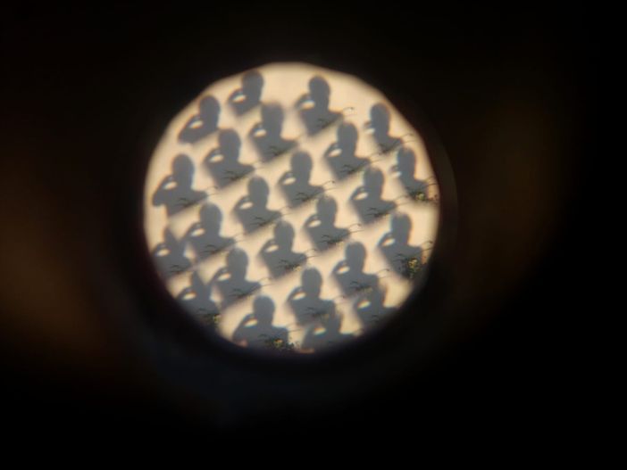 Paola Mongelli Paola Mongelli