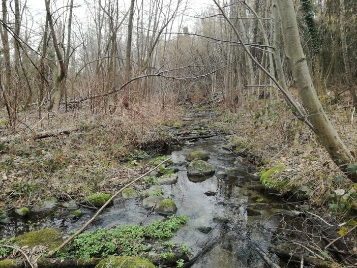 Luserna San Giovanni risorgiva Bocciardino