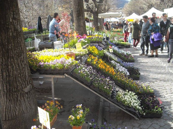 Erbeinfiera a Perosa Argentina tra vino nuovo, giochi e cavalli Erbeinfiera a Perosa Argentina tra vino nuovo, giochi e cavalli