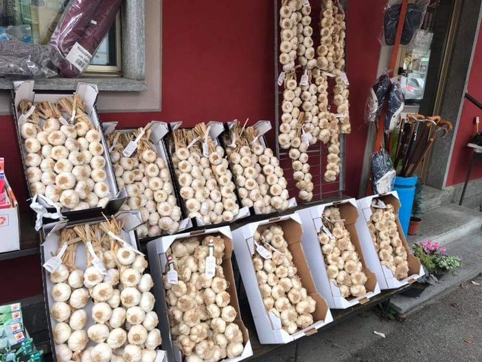 Tra Ringraziamento e aglio: Pinasca fa festa due giorni