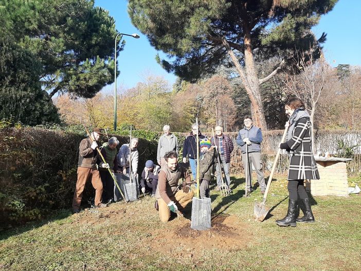 La piantumazione di novembre nei giardini privati di strada Serena a Pinerolo La piantumazione di novembre nei giardini privati di strada Serena a Pinerolo
