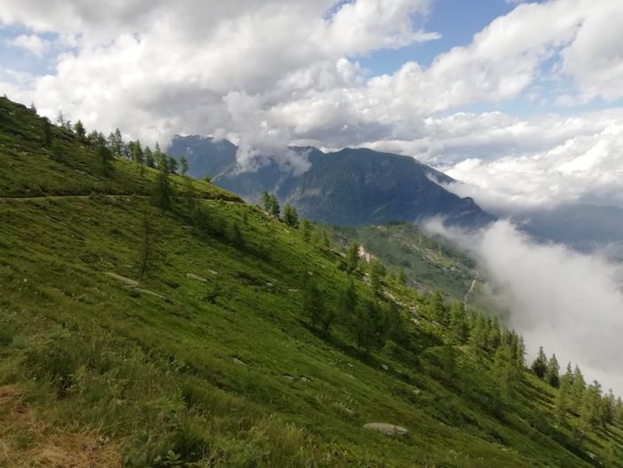 I disegni di Terracini e il racconto del figlio nato grazie al silenzio dei rorenghi I disegni di Terracini e il racconto del figlio nato grazie al silenzio dei rorenghi