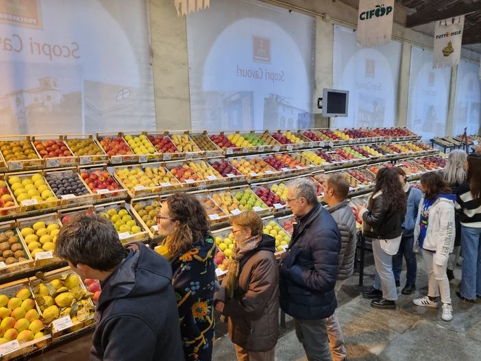 (Foto di repertorio) (Foto di repertorio)