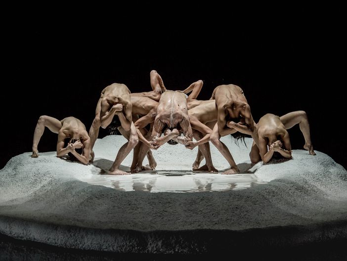 Torinodanza Festival torna il 9 settembre 2022 con la direzione di Anna Cremonini Torinodanza Festival torna il 9 settembre 2022 con la direzione di Anna Cremonini