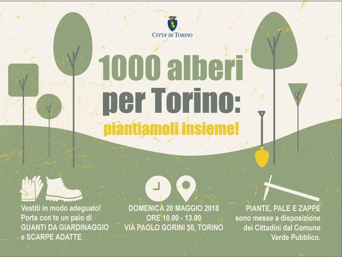 Torino si regala altri 600 alberi per rinforzare il proprio polmone verde