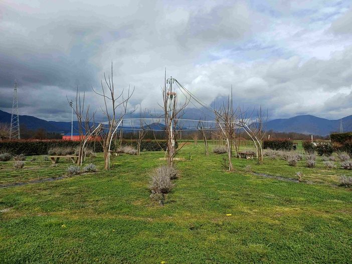 Azienda agricola a Cumiana Azienda agricola a Cumiana
